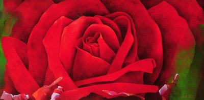 The Rose by Myung Bo Sim